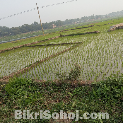জমি
